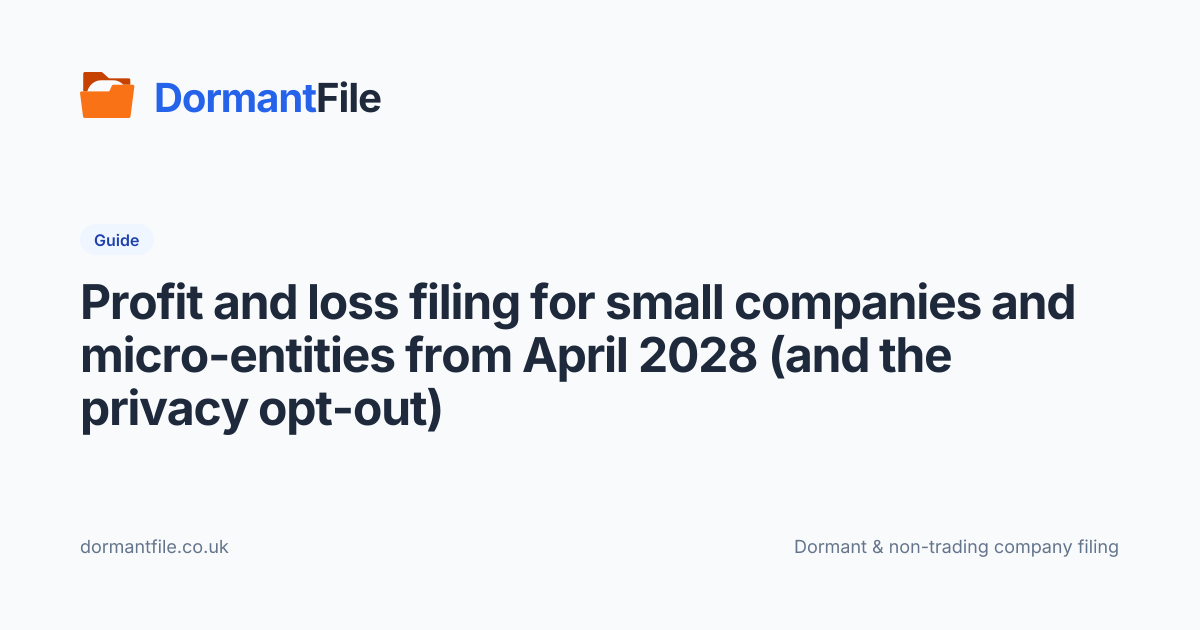 Small & micro P&L filing from 2028 + privacy opt-out | DormantFile